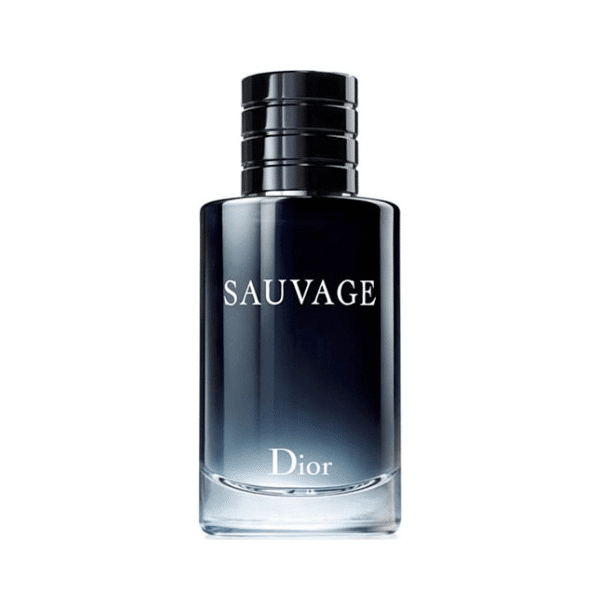 عطر مردانه حِس مدل دیور ساوج (کریستین دیور ساواج Dior Sauvage